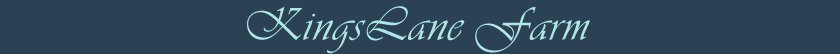 KingsLane Farm