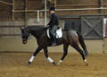 Zohar under saddle left