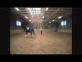 See video of Zohar under saddle